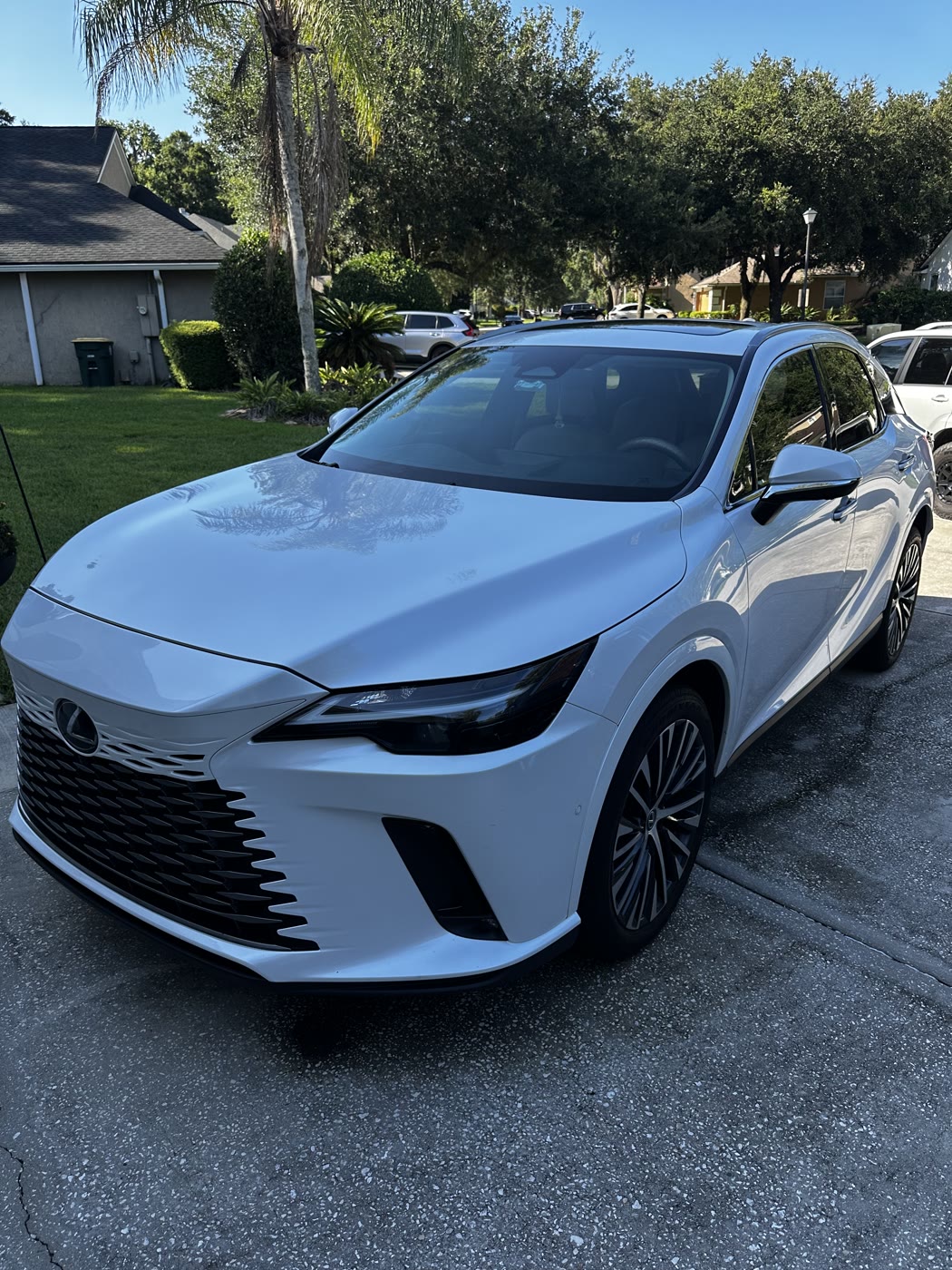 Freshly detailed white Lexus SUV exterior with a glossy finish